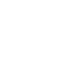 outcoming call